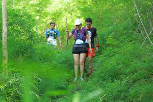 BIB: 
                            <button type="button" onclick="openModal(22097423)" class="btn btn-primary btn-sm float-right btn-popup" data-toggle="modal" data-target=".modal-high-quality">
                        <i class="fas fa-shopping-cart"></i> Add to Cart
                    </button>
                                            <button type="button" onclick="isThisMe(22097423, true)" class="btn btn-success btn-sm float-right btn-popup btn-isme hidden" data-toggle="tooltip" data-placement="bottom" title="นี่คือรูปของคุณใช่ไหม คลิกที่นี่เพื่อเอาเข้าอัลบั้ม">
                        <i class="fas fa-plus"></i> Add to album
                    </button>
                    <button type="button" onclick="isThisMe(22097423, false)" class="btn btn-warning btn-sm float-right btn-popup btn-isnotme hidden">
                        <i class="fas fa-ban"></i> Remove from album
                    </button>